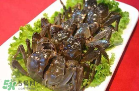 五月份有河蟹嗎？五月份河蟹有黃嗎？