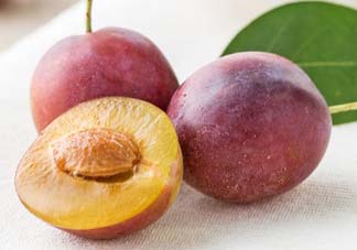 李子能和蝦一起吃嗎？蝦和李子可以一起吃嗎？