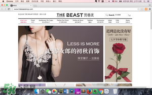 野獸派永生花多少錢？野獸派永生花專柜價格