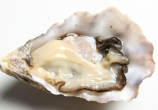 生蠔怎么處理干凈？生蠔怎么清洗圖解