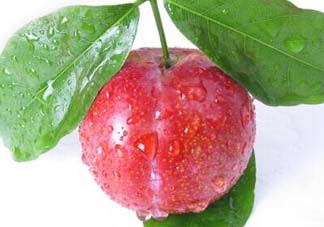 李子和牛奶能一起吃嗎？吃完李子可以喝牛奶嗎？