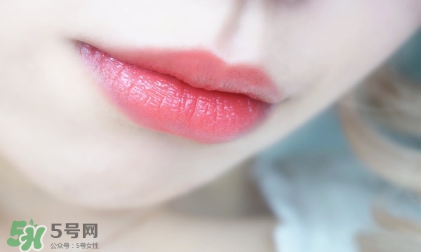 西柚色口紅圖片大全 西柚色口紅哪款牌子好 西柚色口紅圖片大全 西柚色口紅哪款牌子好