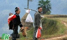 端午出嫁女兒能回娘家嗎？端陽節(jié)能在娘家過嗎？