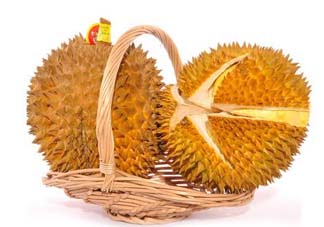 金枕頭榴蓮幾月份上市？金枕頭榴蓮什么時(shí)候上市？