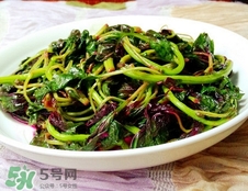 漢菜是發(fā)物嗎?漢菜是不是發(fā)物? 漢菜是發(fā)物嗎?漢菜是不是發(fā)物?