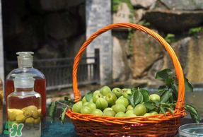 青梅可以直接吃嗎？剛摘下的青梅可以直接吃嗎?？