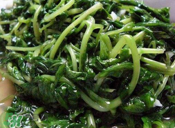 苦菜可以曬干嗎？苦菜怎么曬干？