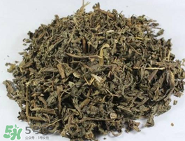 苦菜可以曬干嗎？苦菜怎么曬干？