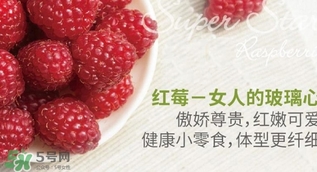 刺泡的熱量 刺泡可以減肥嗎？