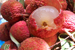 荔枝為什么是酸的？荔枝酸是怎么回事？