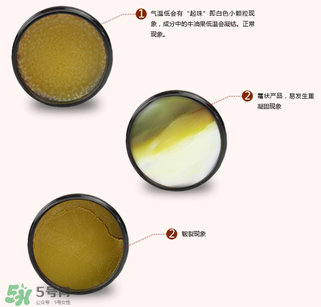 地球媽媽護(hù)臀膏能擦臉嗎？地球媽媽護(hù)臀膏可以擦臉用嗎？