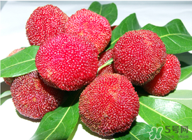 五月份有楊梅嗎？五月份的楊梅能吃嗎？