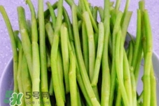 竹葉菜不能和什么一起吃?竹葉菜和什么食物相克? 竹葉菜不能和什么一起吃?竹葉菜和什么食物相克?