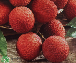 荔枝一天吃多少合適？荔枝一天最多吃幾個？