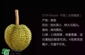 金枕頭和貓山王哪個好？金枕頭和貓山王的區(qū)別