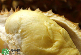 金枕頭榴蓮幾月份上市？金枕頭榴蓮什么時候上市？