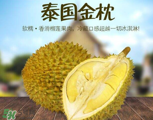 金枕頭榴蓮怎么才算熟？金枕頭榴蓮怎么催熟？