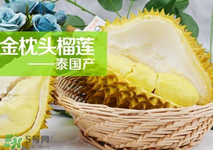 金枕頭榴蓮怎么才算熟？金枕頭榴蓮怎么催熟？