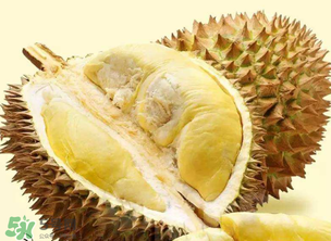 金枕頭榴蓮怎么才算熟？金枕頭榴蓮怎么催熟？