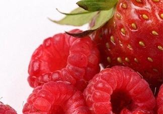 刺泡是山莓嗎？刺泡和山莓的區(qū)別