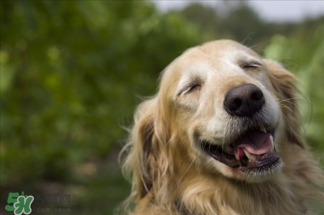 笑氣是什么？笑氣是毒品嗎？