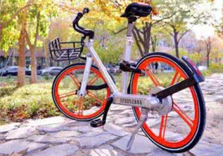 Ostelin和ddrops哪個(gè)好？Ostelin和ddrops的特點(diǎn)是什么？