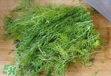 茴香菜是什么菜？茴香菜是香菜嗎