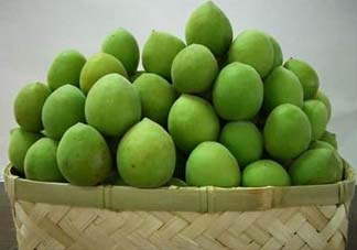 青梅果有什么好處？青梅果的功效與作用