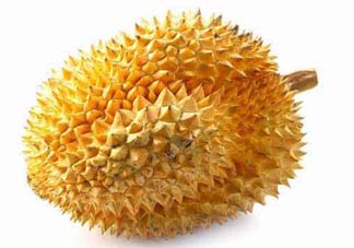 金枕頭和貓山王哪個好？金枕頭和貓山王的區(qū)別