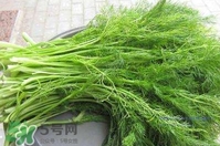 茴香菜是酸性還是堿性？什么人不能吃茴香菜