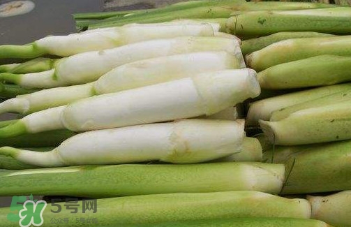 茭白是筍嗎？茭白是高筍嗎