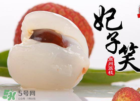 荔枝為什么叫妃子笑？荔枝和妃子笑的區(qū)別