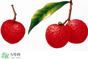 拉肚子能吃荔枝嗎 ？拉肚子可以吃荔枝嗎 ？