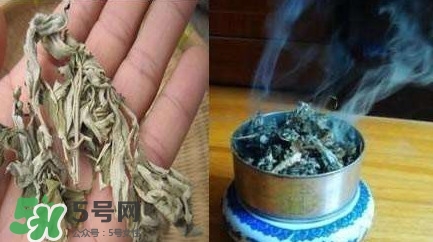 艾葉可以驅(qū)蚊子嗎？艾葉能驅(qū)蚊子嗎