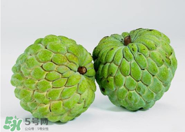 釋迦不能和什么一起吃？釋迦果不能和什么一起吃？