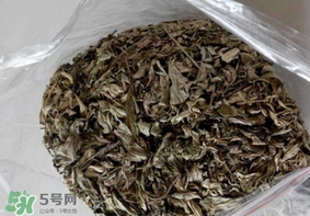 艾葉枕頭孕婦可以用嗎？艾葉枕頭小孩可以用嗎