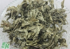 艾葉怎么做枕頭？自制艾葉怎么做枕頭