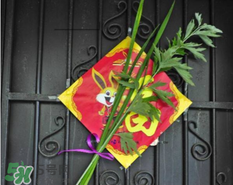 艾草掛門上是什么意思？艾草放門口什么作用？