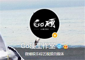 go硬工作室和卓偉有什么關(guān)系？go硬工作室是卓偉前員工成立的？