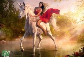 lime crime獨角獸眼影多少錢？獨角獸眼影專柜價格