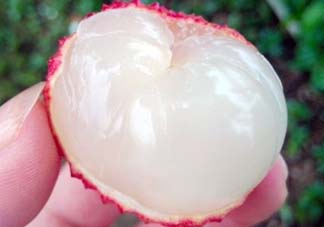 吃荔枝被酒駕怎么辦？吃荔枝酒駕是真的嗎？