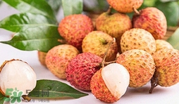 妃子笑荔枝是哪里出產(chǎn)的？妃子笑荔枝產(chǎn)地是哪里