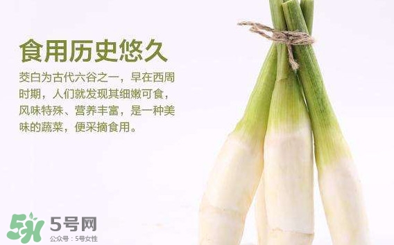 茭白是發(fā)物嗎？茭白是不是發(fā)物