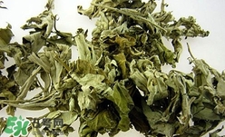 艾葉可以驅(qū)蚊子嗎？艾葉能驅(qū)蚊子嗎