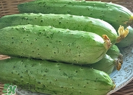 黃瓜敷臉可以美白嗎？黃瓜敷臉美白效果好嗎？