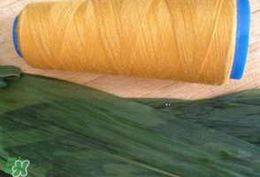 紅棗粽子怎么做好吃？紅棗粽子的做法步驟圖解