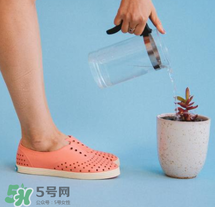 native鞋中文名稱是什么？native鞋中文怎么翻譯？