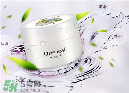 一葉子睡眠面膜好用嗎?一葉子睡眠面膜怎么樣? 一葉子睡眠面膜好用嗎?一葉子睡眠面膜怎么樣?