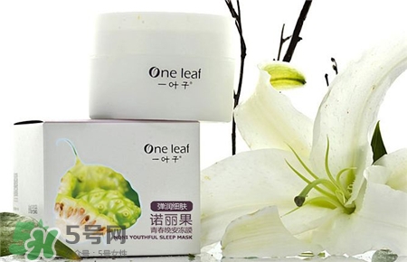 一葉子睡眠面膜好用嗎?一葉子睡眠面膜怎么樣? 一葉子睡眠面膜好用嗎?一葉子睡眠面膜怎么樣?