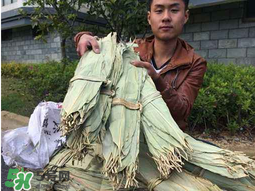 干粽葉怎么煮？干粽葉煮多久？